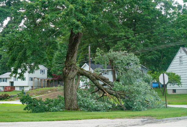 Best Seasonal Cleanup (Spring/Fall)  in Rutherfordton, NC